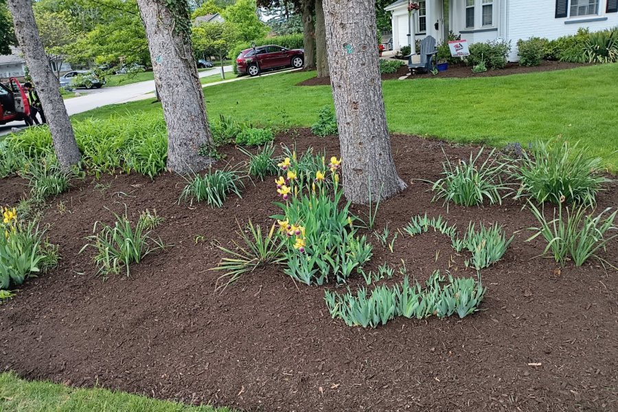 Landscape Mulch Winnetka - Landscaping