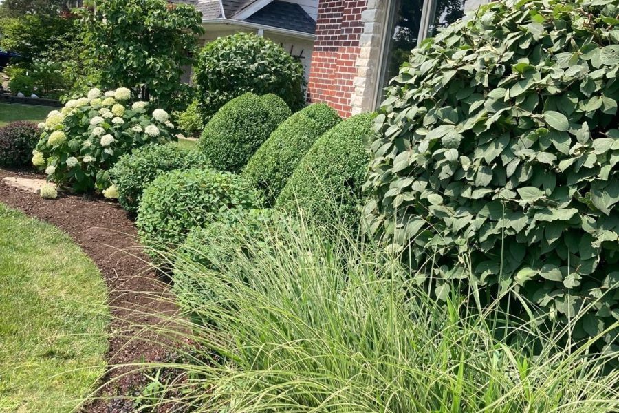 Landscape Trimming Glenview  - Landscaping