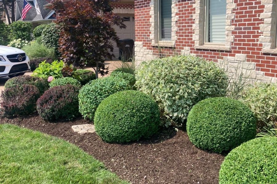Landscape Trimming Glenview  - Landscaping