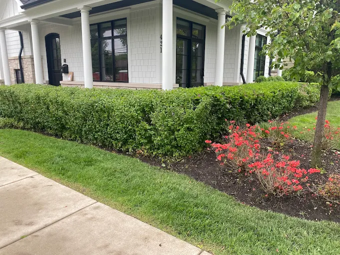 Landscape Trimming Glencoe - Landscaping