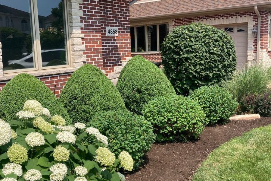 Landscape Trimming Glenview  - Landscaping