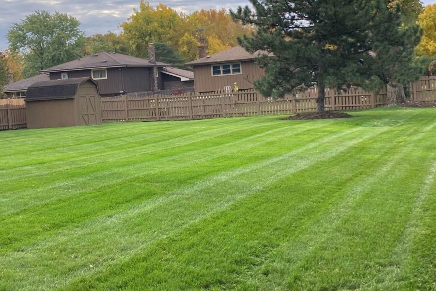 Lawn Maintenance Winnetka - Landscaping