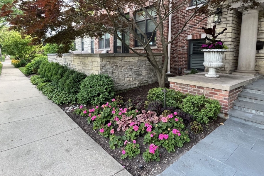 Landscape installation and maintenance, seasonal plantings Kenilworth - Landscaping