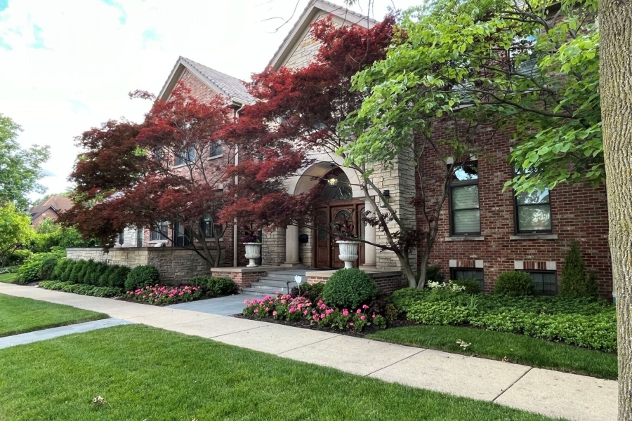 Landscape design, installation and maintenance, Residential Kenilworth - Landscaping