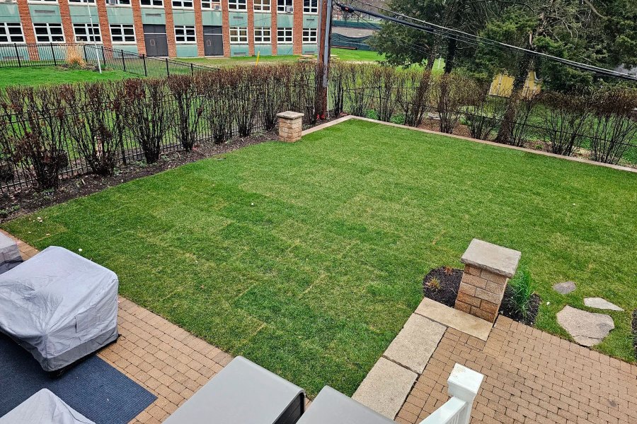 Winnetka Pool Removal Project - Landscaping