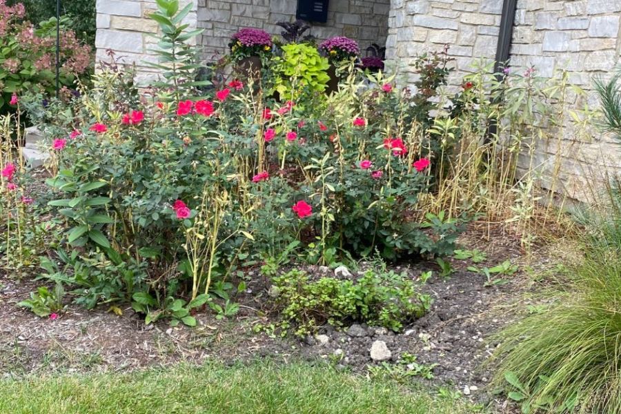 Seasonal Plantings Installation in Chicago - Lanscaping