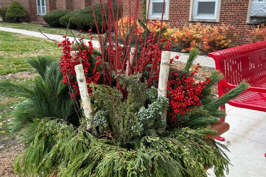 Holiday Seasonal Decor Potted Plants - Landscaping