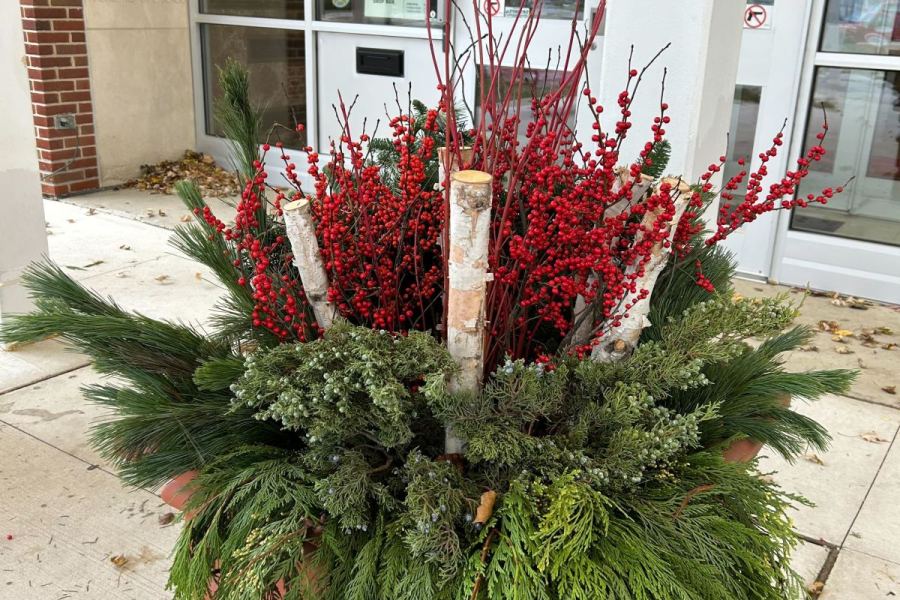 Holiday Seasonal Decor Potted Plants - Landscaping