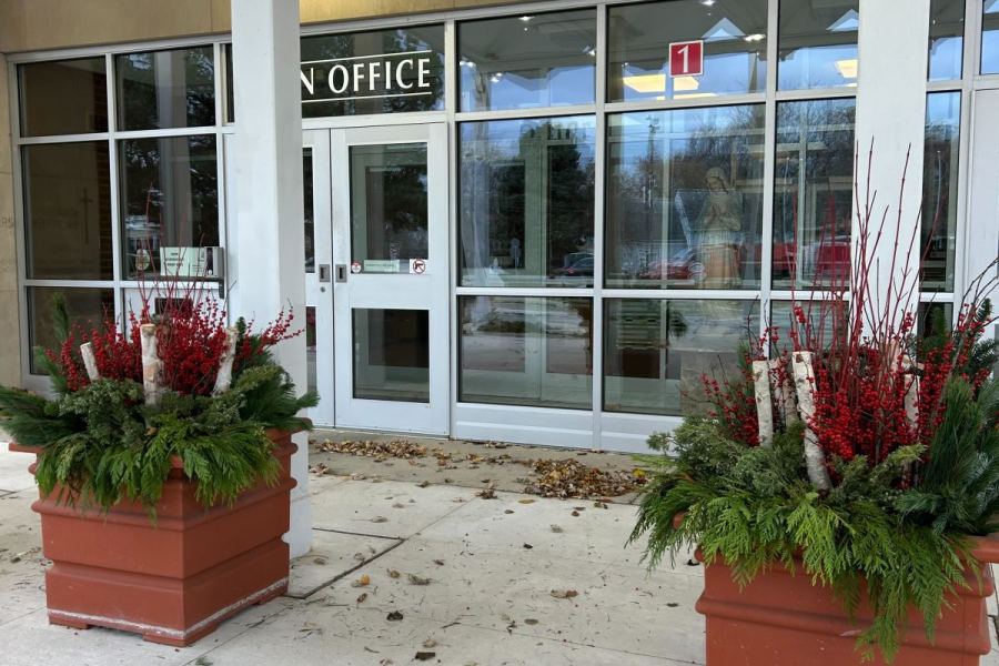 Holiday Seasonal Decor Potted Plants - Landscaping