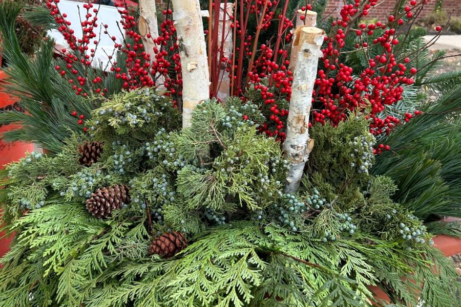 Holiday Seasonal Decor Potted Plants - Landscaping