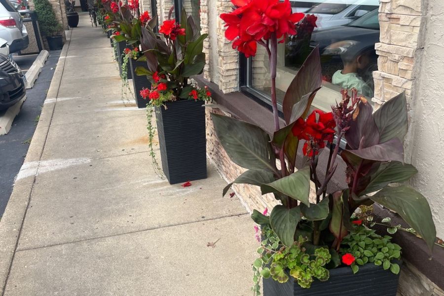 Libanais Seasonal Planter Lincolnwood - Landscaping