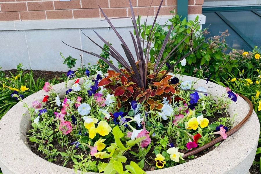 Seasonal Planter Commercial Northfield  - Landscaping