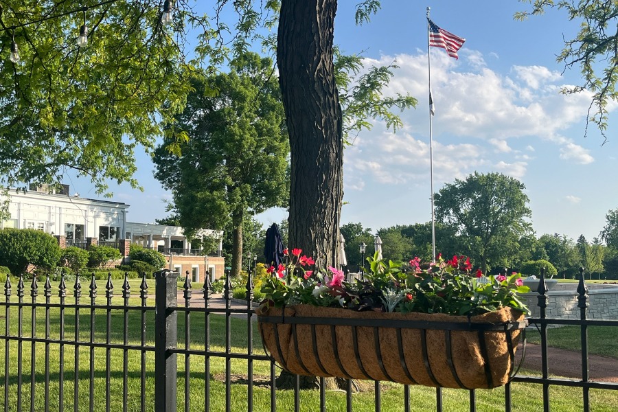 Seasonal Planter geraniums vinca dusty miller sweet potato vine salvia Park Ridge - Landscaping