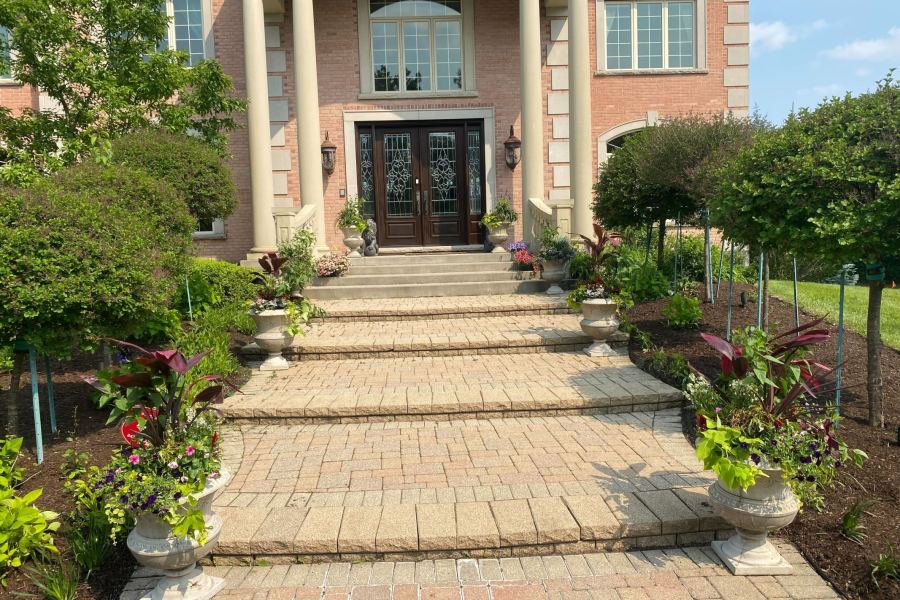 Seasonal Potted Plants Glenview  - Landscaping