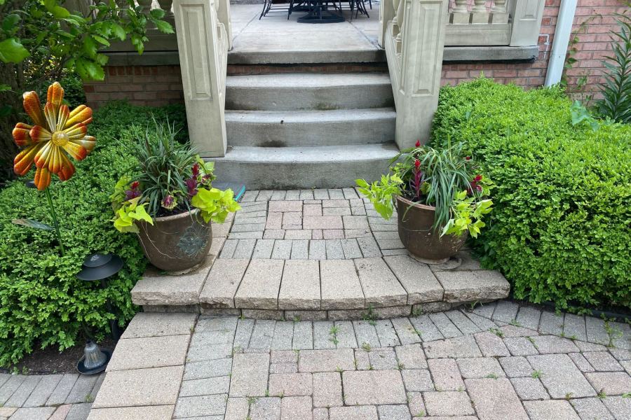 Summer Potted Plants Glenview  - Landscaping