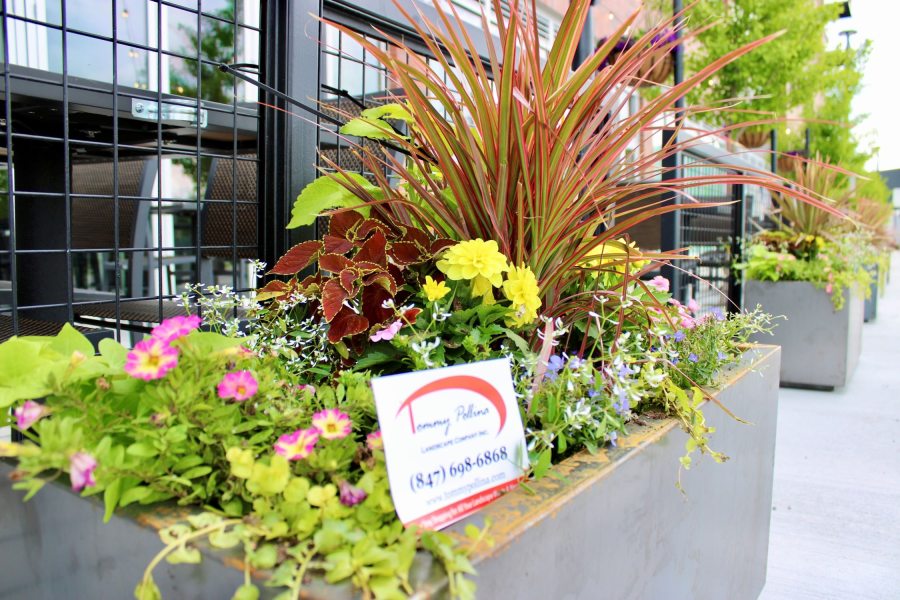 Commercial seasonal planters FatPour Lincolnwood - Landscaping