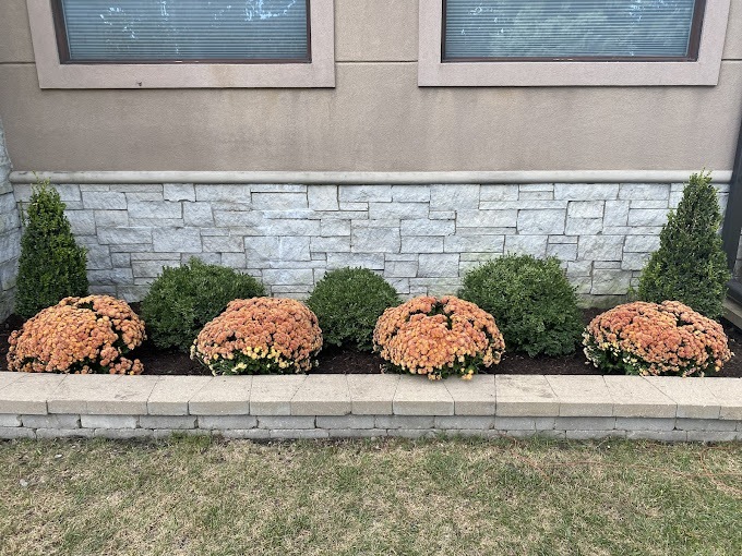 Fall Seasonal Plantings Installation Wilmette - Landscaping