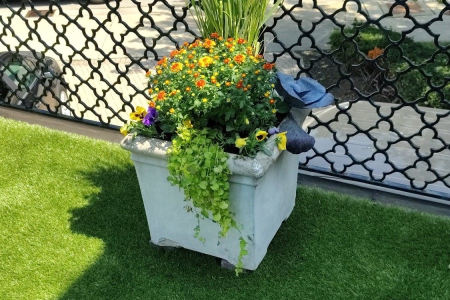 seasonal planter in Arlington Heights - Landscaping