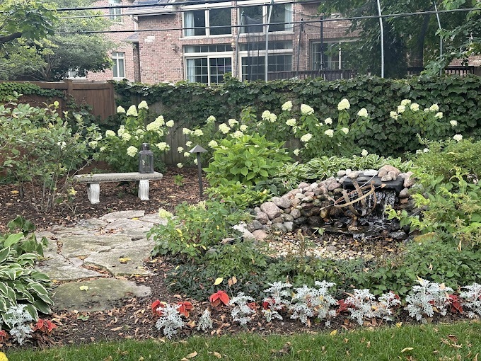 Waterscaping Glenview  - Landscaping