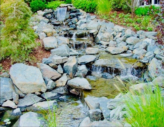 Waterscaping Winnetka - Landscaping