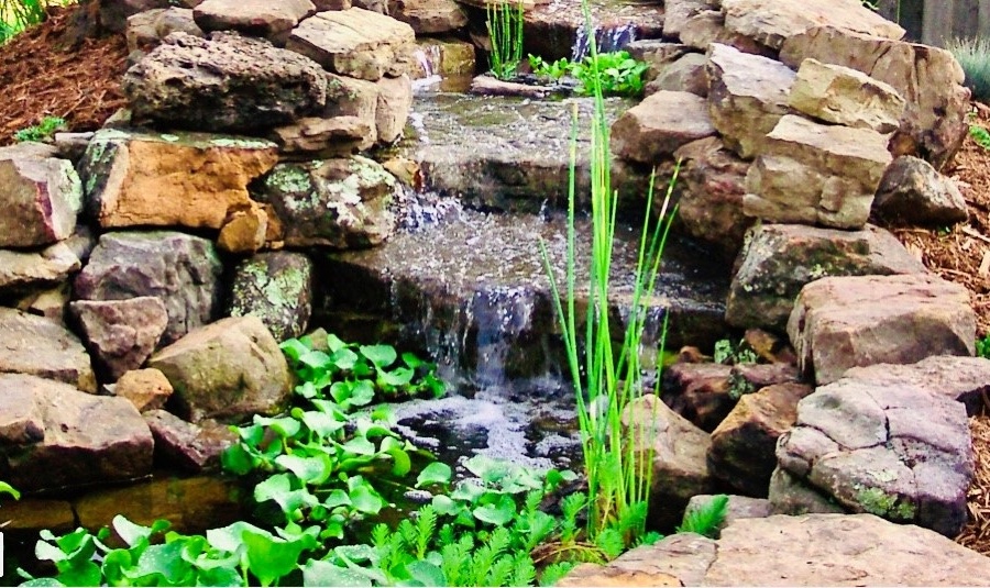 Waterscaping Winnetka - Landscaping