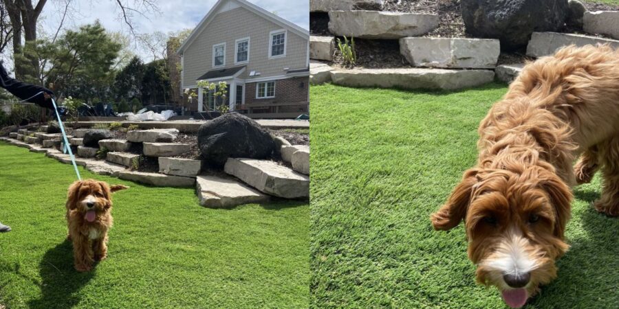 French drain installation with pet-friendly turf in Northbrook IL backyard