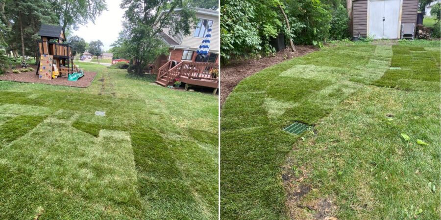 Backyard drainage improvements in Des Plaines, IL with French drains, catch basin, underground PVC piping, grading, and new sod installation.