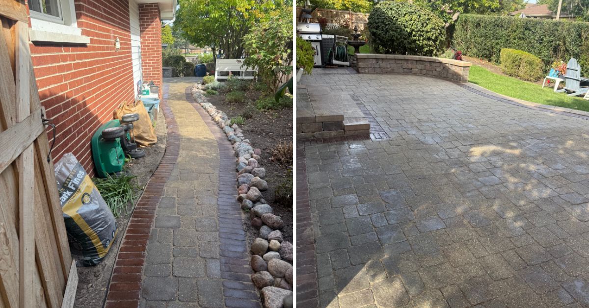 Front-yard landscaping in Evanston, IL featuring newly installed Green Gem boxwoods replacing existing shrubs along the walkway.