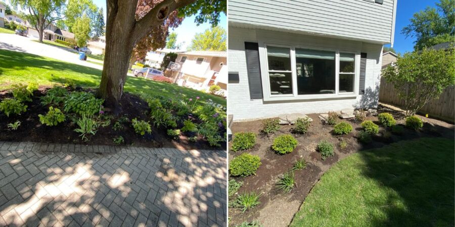 Residential landscape renovation project in Northbrook featuring hydrangeas, boxwoods, ornamental grasses, decorative river rock, fresh mulch, outdoor lighting, and a natural flagstone pathway.