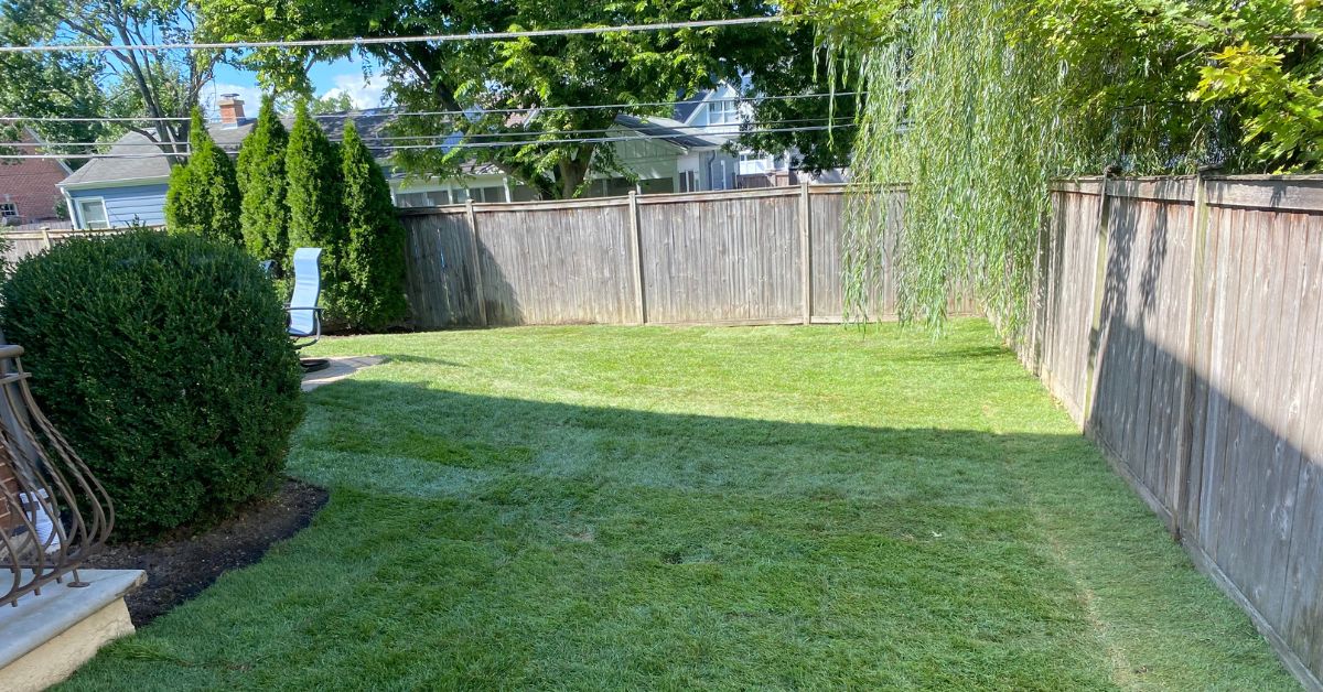 Drainage system upgrade in Edison Park, IL with underground 4-inch PVC piping, downspout connections, leaf guards, and tee discharge assemblies.