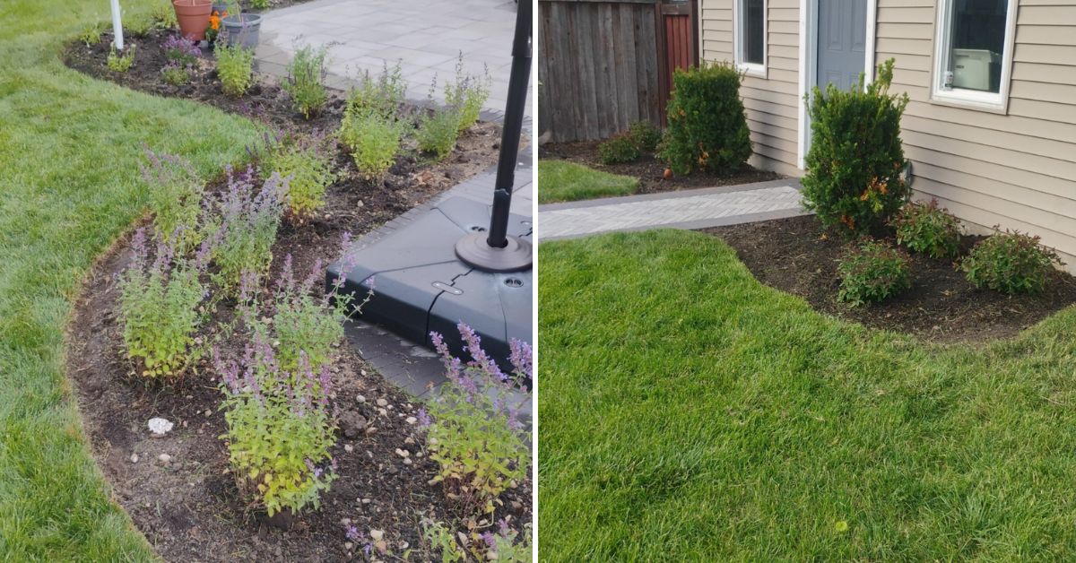 Privacy screening and landscape enhancement project in Wilmette, IL with Arborvitae plantings, flowering shrubs, ornamental trees, and perennial garden installations
