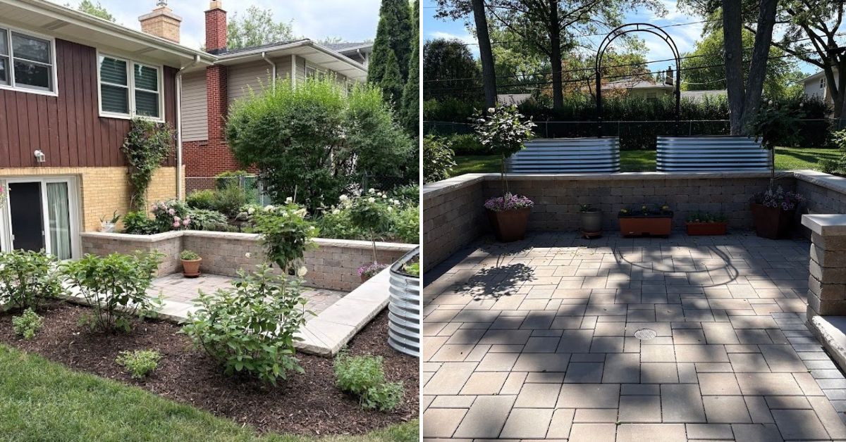 Residential landscape transformation in Mount Prospect, IL featuring Hydrangeas, Roses, river rock beds, mulch installation, and sump pump drainage extensions