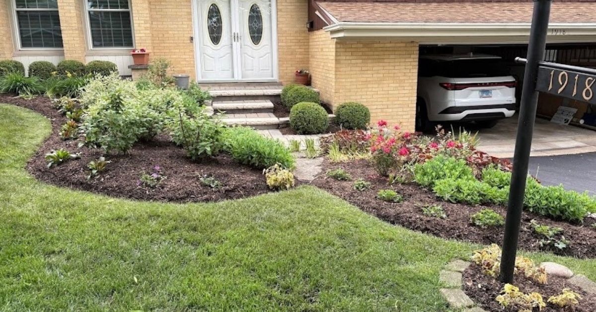 Residential landscape transformation in Mount Prospect, IL featuring Hydrangeas, Roses, river rock beds, mulch installation, and sump pump drainage extensions
