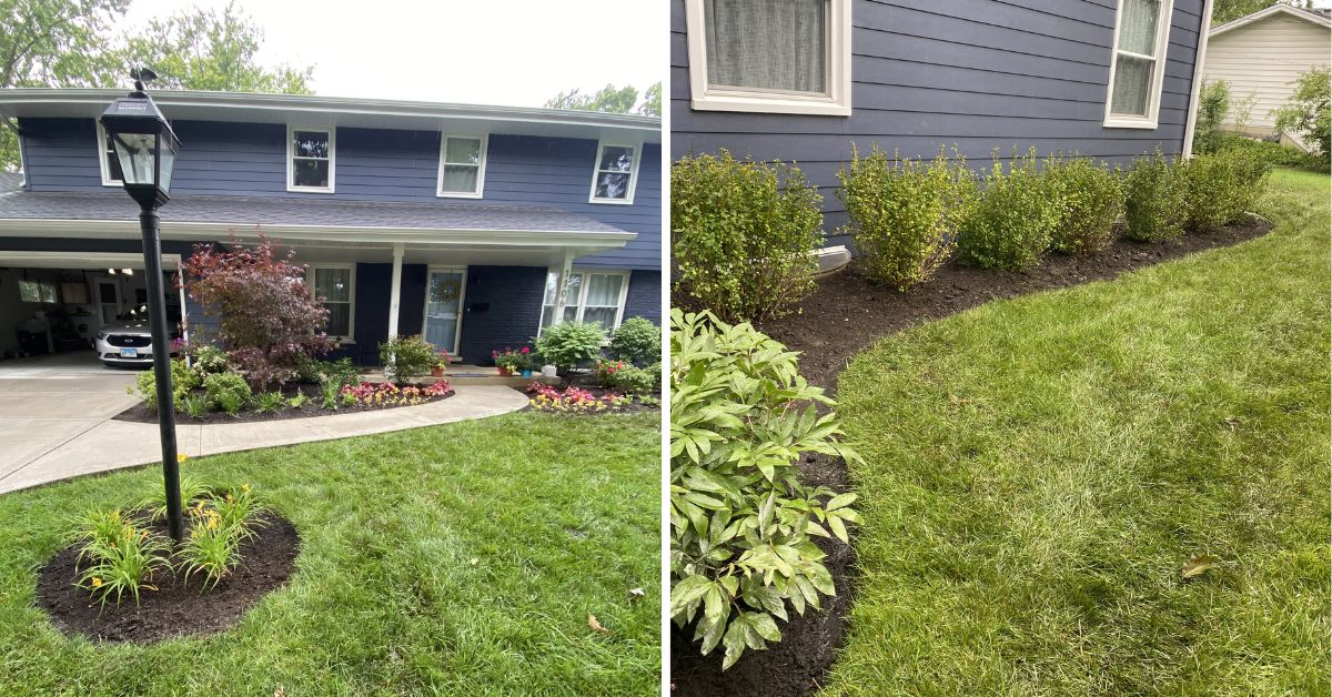 Landscape renovation in Northfield, IL with Japanese maple, hydrangeas, sod installation, PVC drainage, and new planting beds.