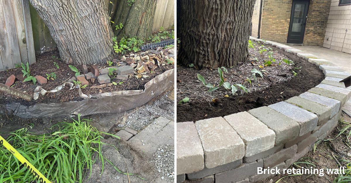Brick retaining wall repair in an Evanston backyard, preserving the original wall layout near mature mulberry trees.