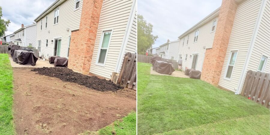 Grading, Drainage & Lawn Restoration Project with Catch Basin in Winnetka