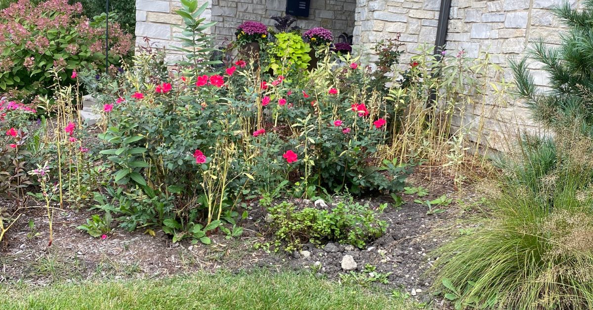 Nine outdoor planters prepared for seasonal planting and design updates at a residential property in Chicago, IL.