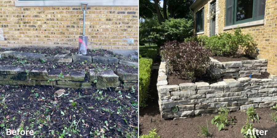 Rebuilt stone retaining wall and landscape installation in Lincolnwood, IL featuring drainage improvements, hydrangeas, boxwoods, ornamental grasses, and perennial plantings.