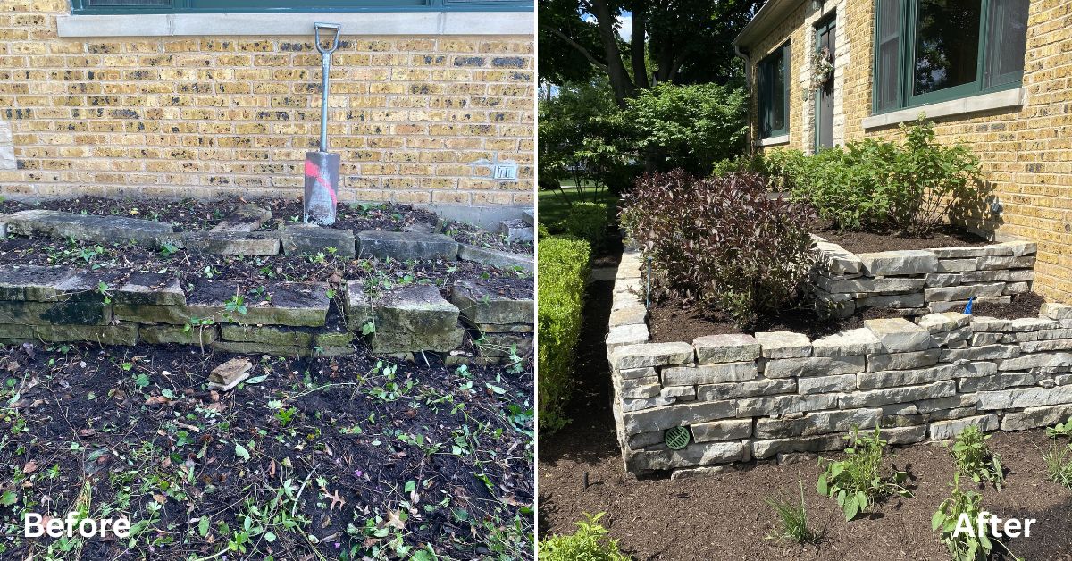 Rebuilt stone retaining wall and landscape installation in Lincolnwood, IL featuring drainage improvements, hydrangeas, boxwoods, ornamental grasses, and perennial plantings.