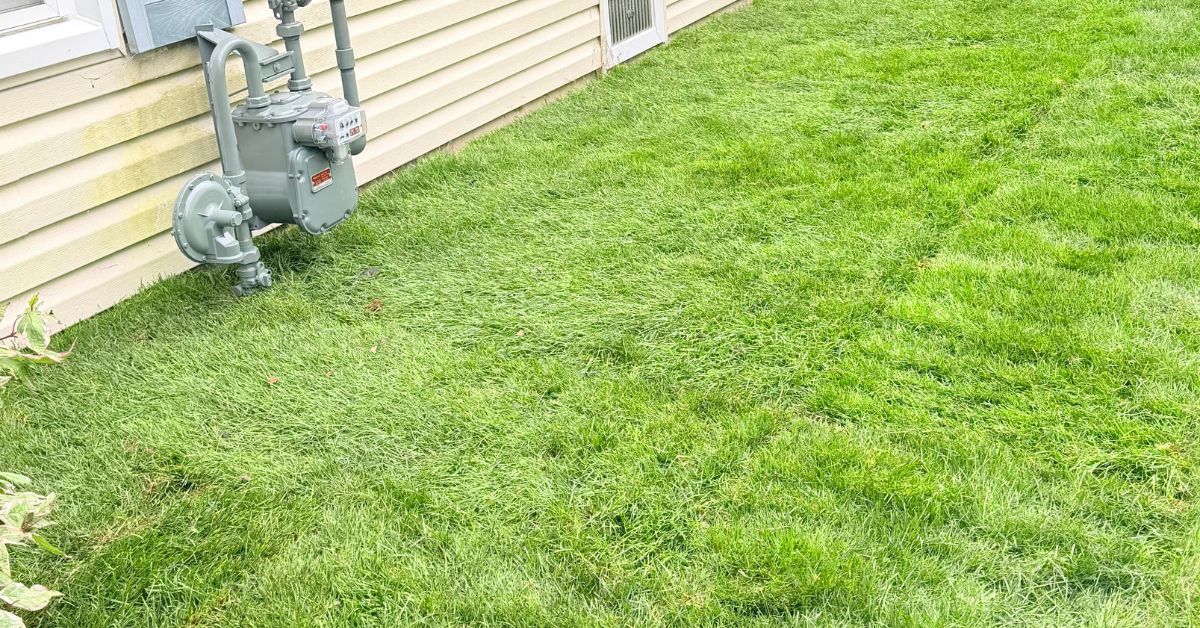 Existing lawn removed around backyard patio before grading and drainage improvements at a Winnetka, IL home