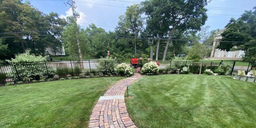 Landscape renovation in Deer Park, IL with Hydrangeas, Roses, Catmint, Coneflowers, tree care, and planting bed improvements.
