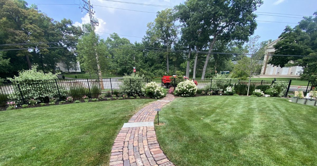 Landscape renovation in Deer Park, IL with Hydrangeas, Roses, Catmint, Coneflowers, tree care, and planting bed improvements.