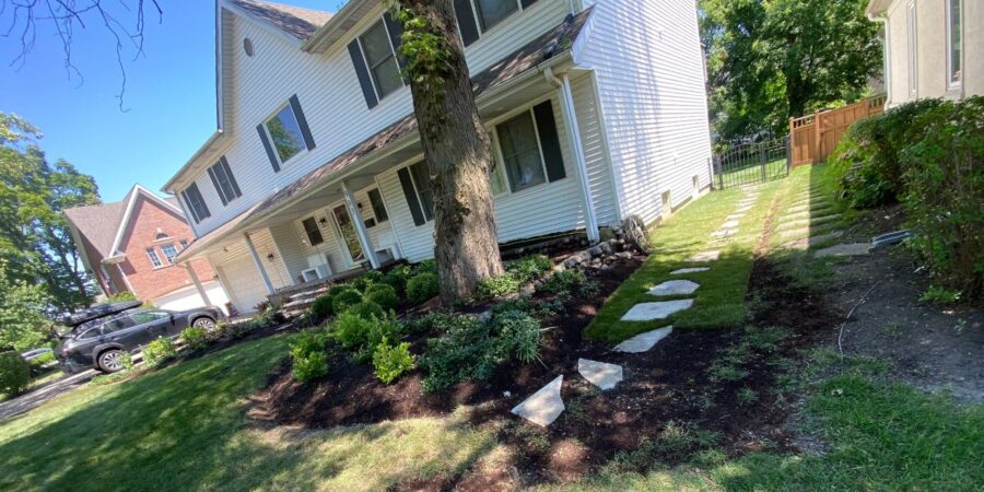 Landscape renovation in Des Plaines, IL with new plantings, Kentucky Bluegrass sod, grading, ledgestone steps, and stone steppers.