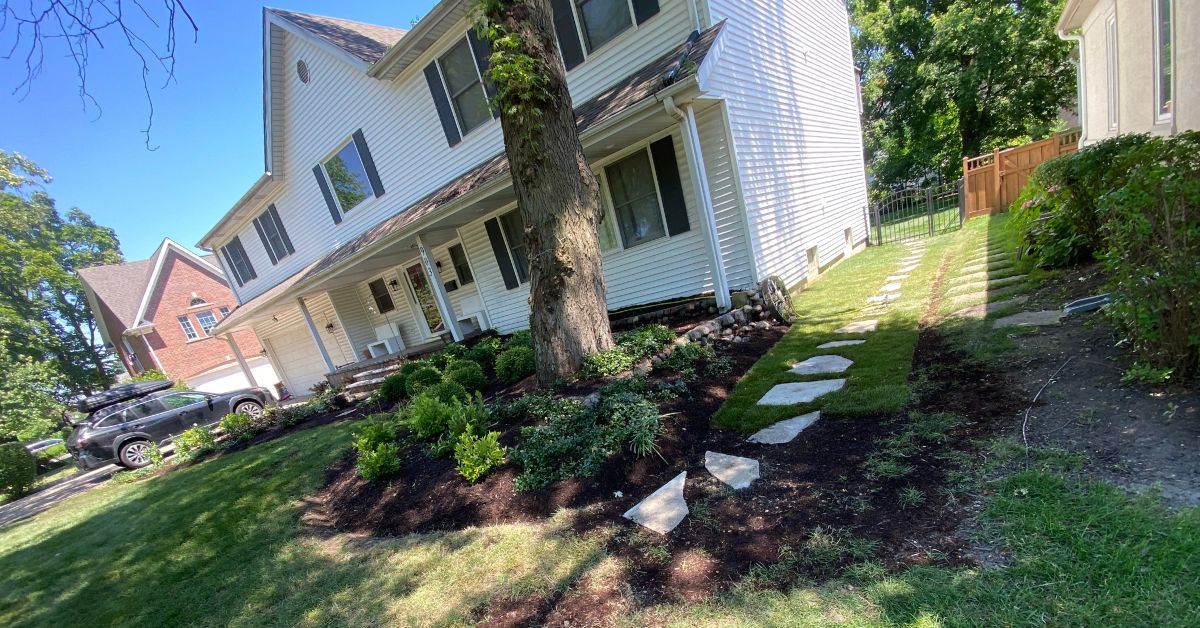 Landscape renovation in Des Plaines, IL with new plantings, Kentucky Bluegrass sod, grading, ledgestone steps, and stone steppers.