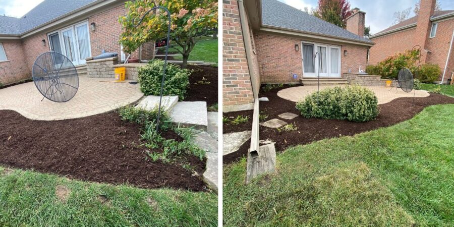 Front Window Garden Bed Cleanup and Plant Removal