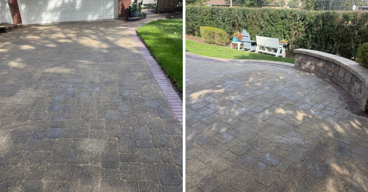 Front-yard landscaping in Evanston, IL featuring newly installed Green Gem boxwoods replacing existing shrubs along the walkway.