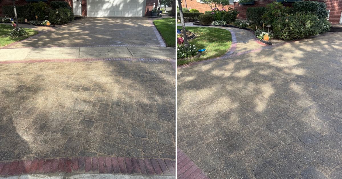 Front-yard landscaping in Evanston, IL featuring newly installed Green Gem boxwoods replacing existing shrubs along the walkway.