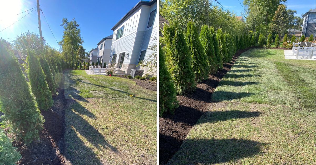 Mount Prospect, IL, landscaping project featuring underground drainage, arborvitae privacy plantings, tree relocation, and concrete sidewalk replacement.