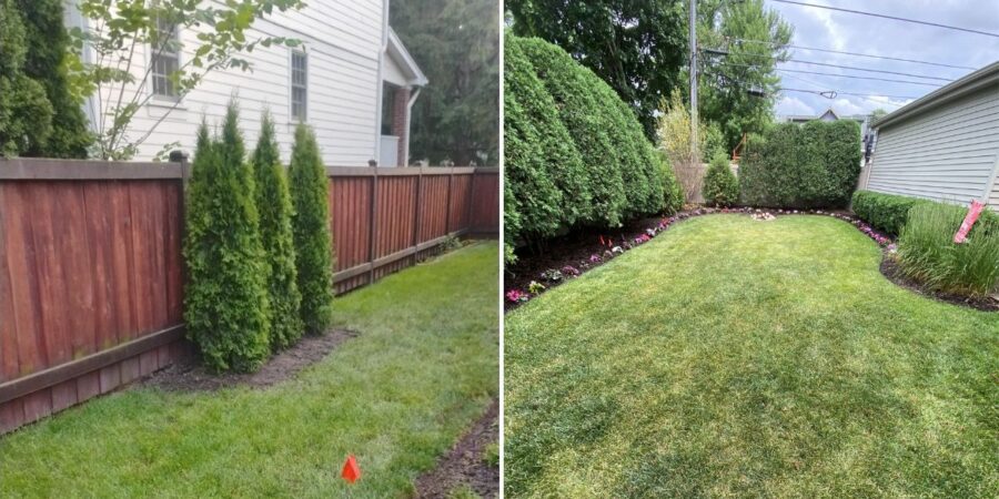 Privacy screening and landscape enhancement project in Wilmette, IL with Arborvitae plantings, flowering shrubs, ornamental trees, and perennial garden installations