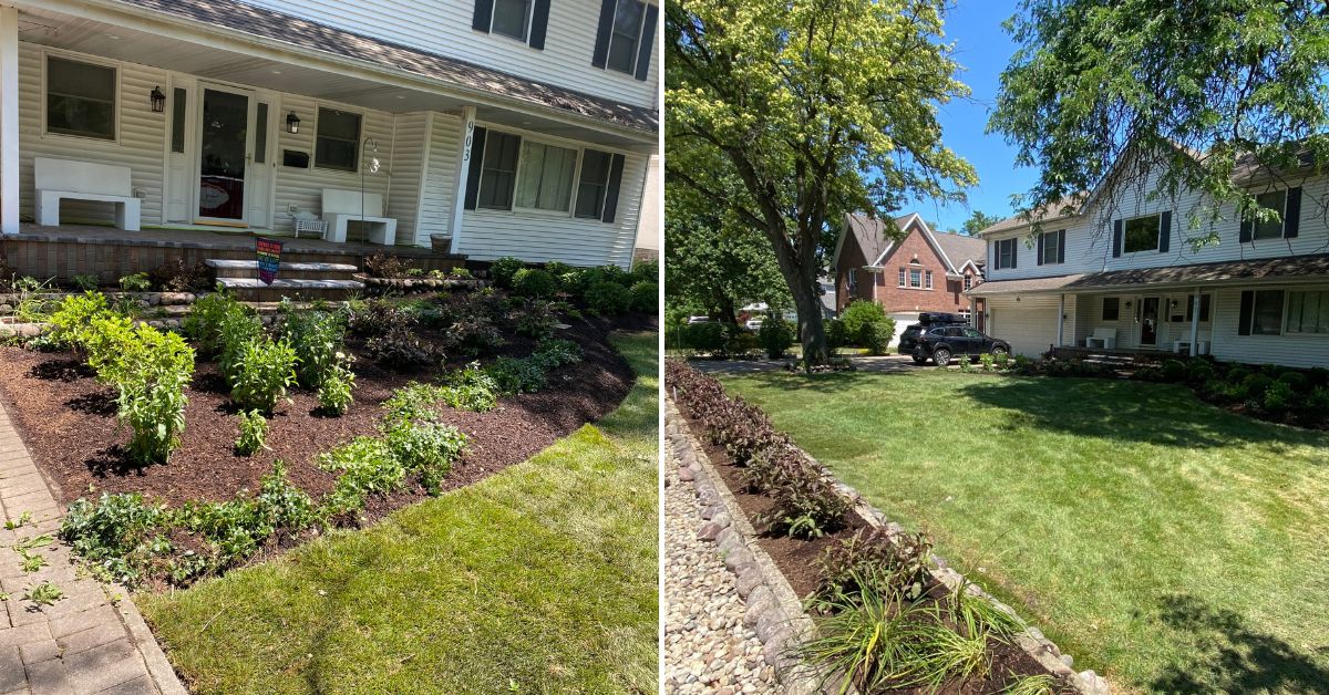 Landscape renovation in Des Plaines, IL with new plantings, Kentucky Bluegrass sod, grading, ledgestone steps, and stone steppers.